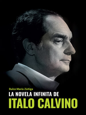 cover image of La novela infinita de Italo Calvino